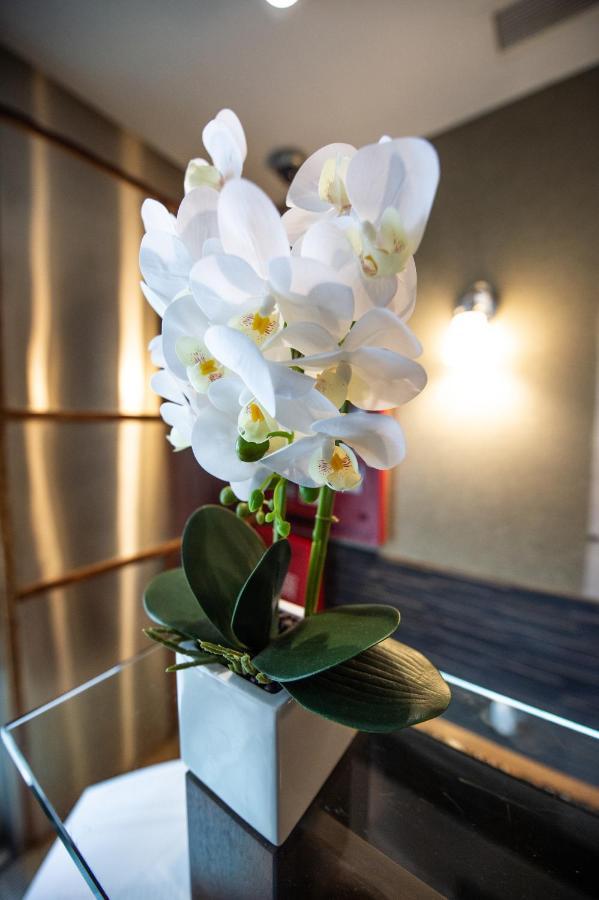 Solita Soho Hotel New York Bagian luar foto