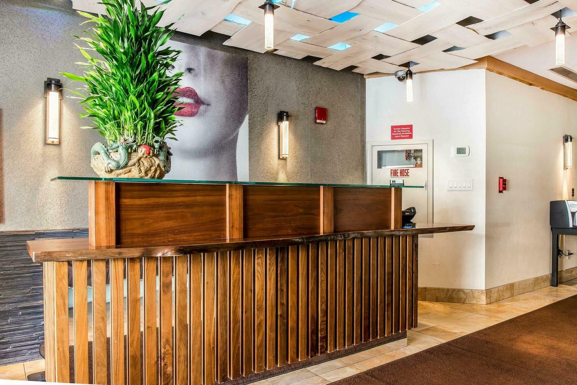Solita Soho Hotel New York Bagian luar foto